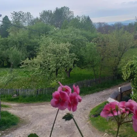 Casa Alina Venkovský dům *